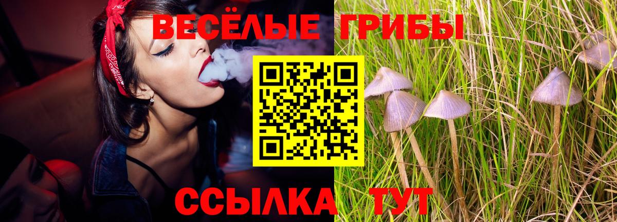 Галлюциногенные грибы GOLDEN TEACHER  Псилоцибиновые грибы мухоморы  купить закладку  Вход с VPN  Вязники 