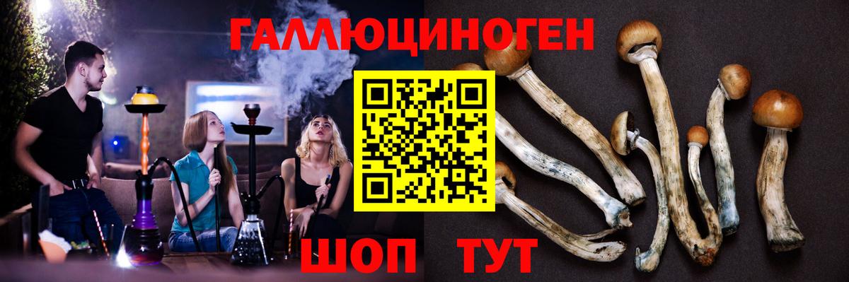 Галлюциногенные грибы GOLDEN TEACHER Вязники